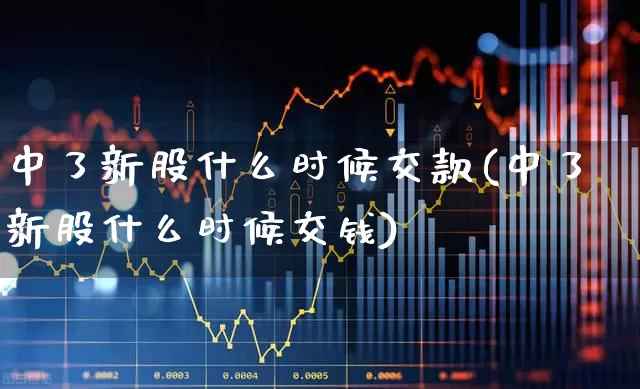 中了新股什么时候交款(中了新股什么时候交钱)_https://www.wanyuyiyao.com_科创板_第1张