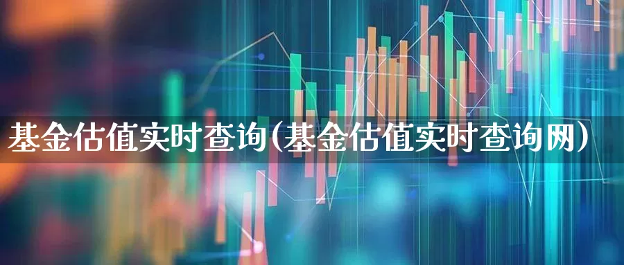 基金估值实时查询(基金估值实时查询网)_https://www.wanyuyiyao.com_创业板_第1张