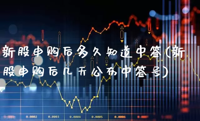 新股申购后多久知道中签(新股申购后几天公布中签号)_https://www.wanyuyiyao.com_深交所_第1张