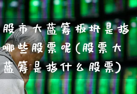 股市大蓝筹板块是指哪些股票呢(股票大蓝筹是指什么股票)_https://www.wanyuyiyao.com_深交所_第1张