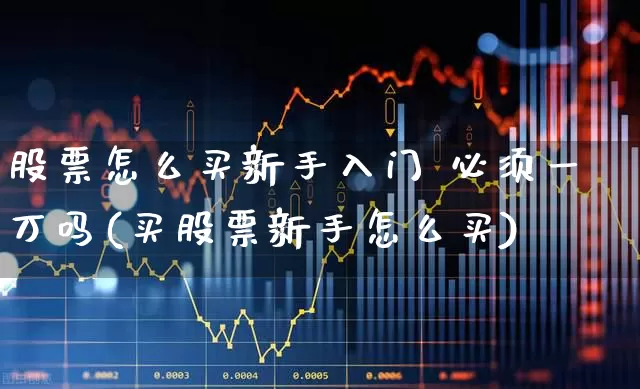 股票怎么买新手入门 必须一万吗(买股票新手怎么买)_https://www.wanyuyiyao.com_北交所_第1张