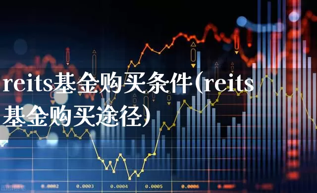 reits基金购买条件(reits基金购买途径)_https://www.wanyuyiyao.com_深交所_第1张