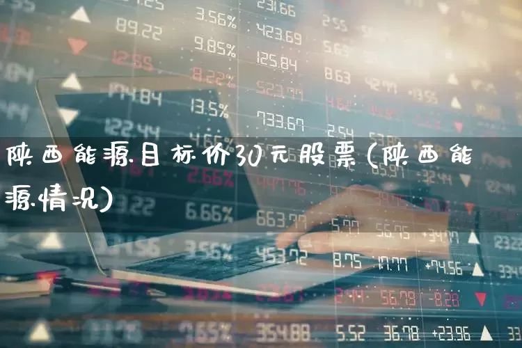 陕西能源目标价30元股票(陕西能源情况)_https://www.wanyuyiyao.com_创业板_第1张
