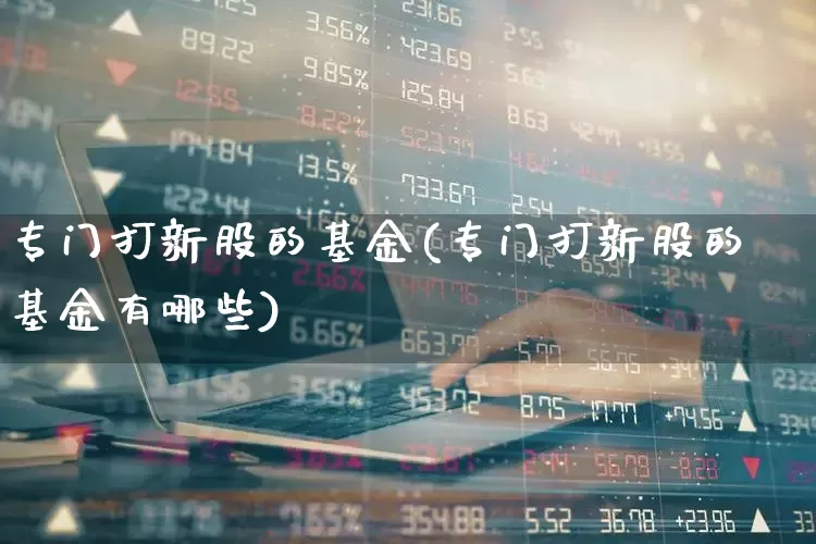 专门打新股的基金(专门打新股的基金有哪些)_https://www.wanyuyiyao.com_创业板_第1张