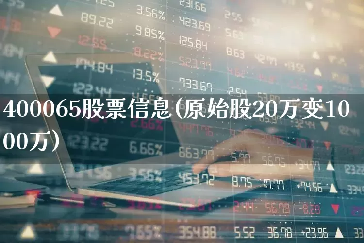 400065股票信息(原始股20万变1000万)_https://www.wanyuyiyao.com_深交所_第1张