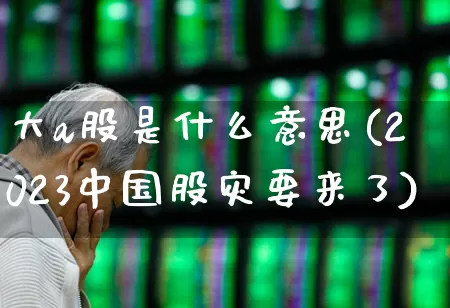 大a股是什么意思(2023中国股灾要来了)_https://www.wanyuyiyao.com_科创板_第1张