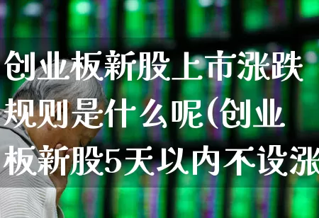 创业板新股上市涨跌规则是什么呢(创业板新股5天以内不设涨跌幅度)_https://www.wanyuyiyao.com_深交所_第1张