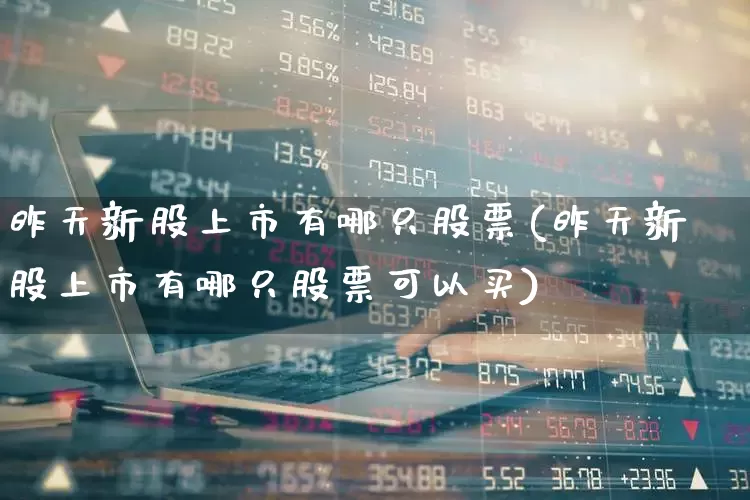 昨天新股上市有哪只股票(昨天新股上市有哪只股票可以买)_https://www.wanyuyiyao.com_深交所_第1张