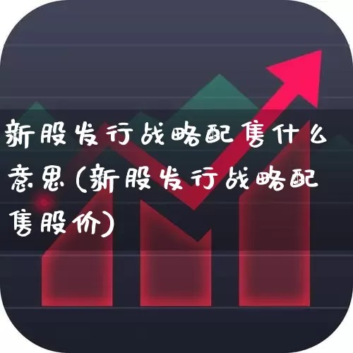 新股发行战略配售什么意思(新股发行战略配售股价)_https://www.wanyuyiyao.com_科创板_第1张