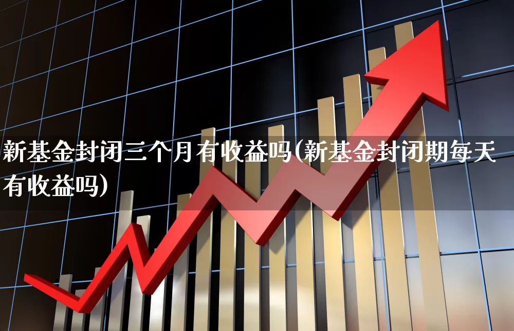 新基金封闭三个月有收益吗(新基金封闭期每天有收益吗)_https://www.wanyuyiyao.com_上交所_第1张