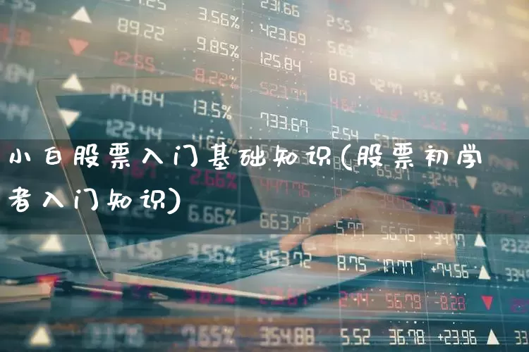 小白股票入门基础知识(股票初学者入门知识)_https://www.wanyuyiyao.com_深交所_第1张