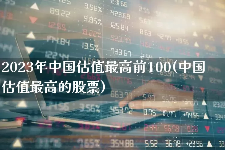 2023年中国估值最高前100(中国估值最高的股票)_https://www.wanyuyiyao.com_科创板_第1张