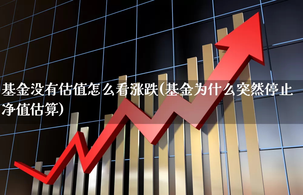 基金没有估值怎么看涨跌(基金为什么突然停止净值估算)_https://www.wanyuyiyao.com_上交所_第1张