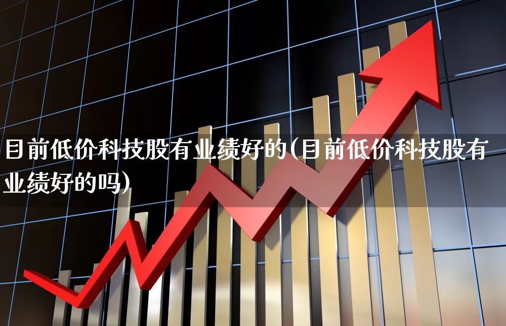 目前低价科技股有业绩好的(目前低价科技股有业绩好的吗)_https://www.wanyuyiyao.com_上交所_第1张
