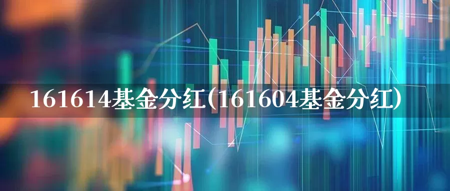161614基金分红(161604基金分红)_https://www.wanyuyiyao.com_深交所_第1张