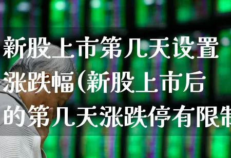 新股上市第几天设置涨跌幅(新股上市后的第几天涨跌停有限制)_https://www.wanyuyiyao.com_北交所_第1张