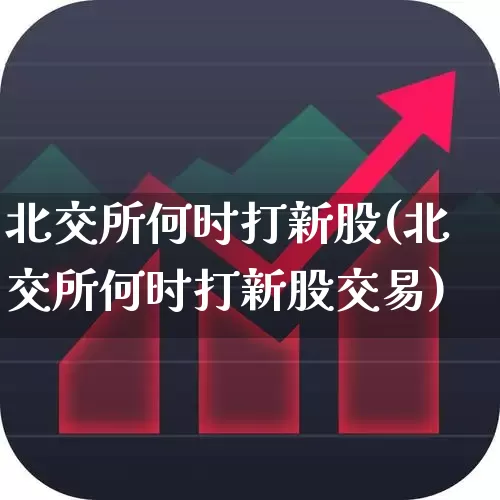 北交所何时打新股(北交所何时打新股交易)_https://www.wanyuyiyao.com_深交所_第1张
