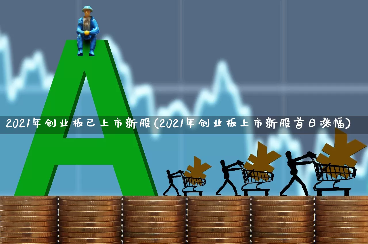 2021年创业板已上市新股(2021年创业板上市新股首日涨幅)_https://www.wanyuyiyao.com_上交所_第1张