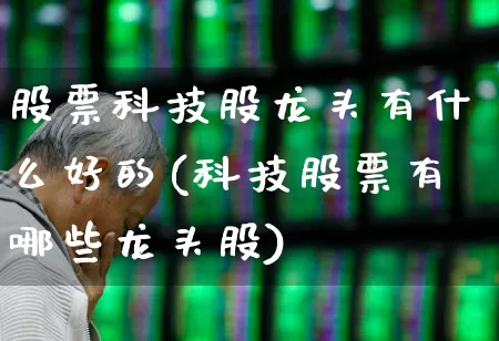 股票科技股龙头有什么好的(科技股票有哪些龙头股)_https://www.wanyuyiyao.com_创业板_第1张