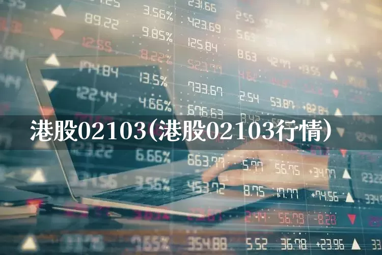 港股02103(港股02103行情)_https://www.wanyuyiyao.com_创业板_第1张