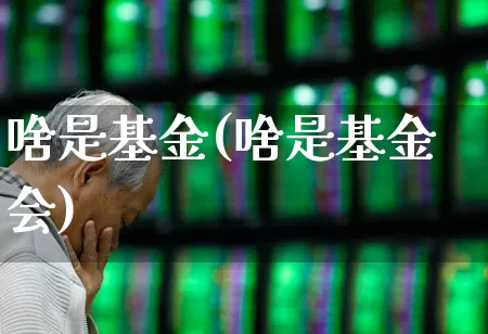 啥是基金(啥是基金会)_https://www.wanyuyiyao.com_上交所_第1张