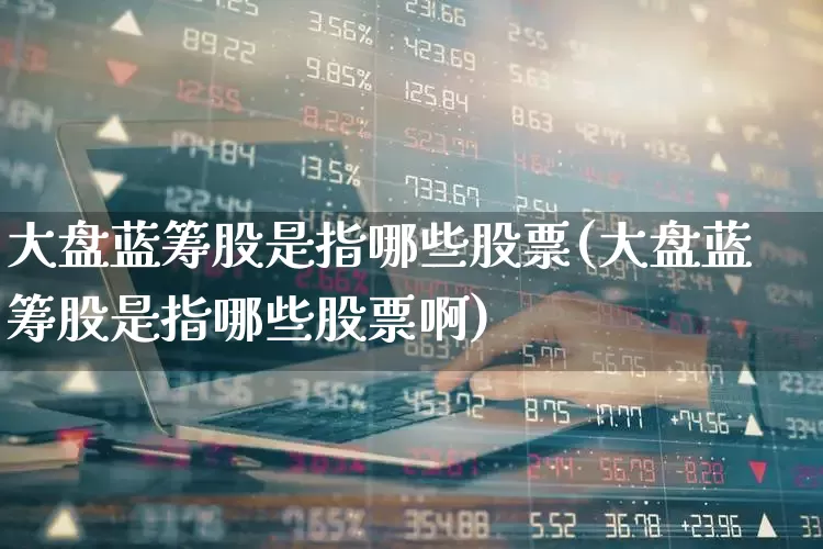 大盘蓝筹股是指哪些股票(大盘蓝筹股是指哪些股票啊)_https://www.wanyuyiyao.com_北交所_第1张