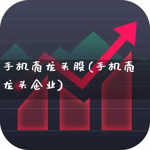手机壳龙头股(手机壳龙头企业)_https://www.wanyuyiyao.com_北交所_第1张