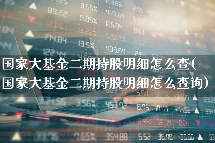 国家大基金二期持股明细怎么查(国家大基金二期持股明细怎么查询)_https://www.wanyuyiyao.com_创业板_第1张