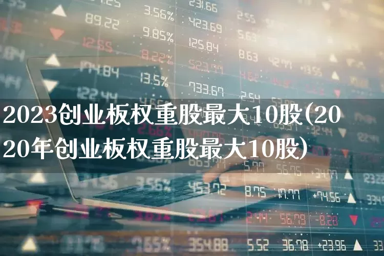 2023创业板权重股最大10股(2020年创业板权重股最大10股)_https://www.wanyuyiyao.com_上交所_第1张