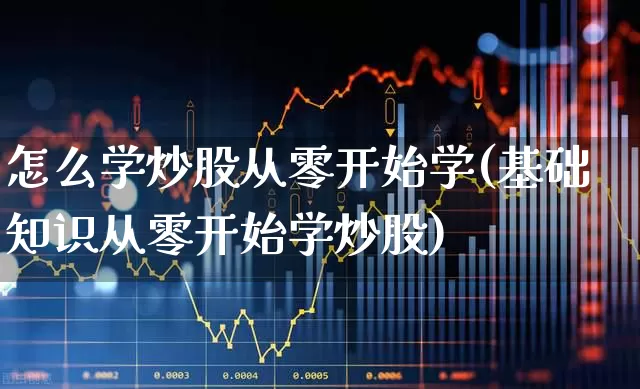 怎么学炒股从零开始学(基础知识从零开始学炒股)_https://www.wanyuyiyao.com_北交所_第1张