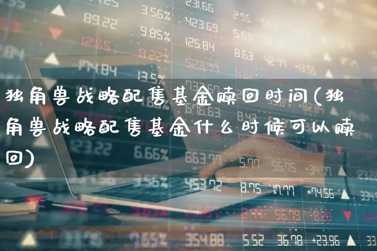 独角兽战略配售基金赎回时间(独角兽战略配售基金什么时候可以赎回)_https://www.wanyuyiyao.com_科创板_第1张