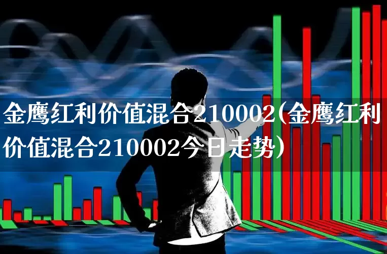 金鹰红利价值混合210002(金鹰红利价值混合210002今日走势)_https://www.wanyuyiyao.com_深交所_第1张