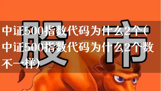 中证500指数代码为什么2个(中证500指数代码为什么2个数不一样)_https://www.wanyuyiyao.com_深交所_第1张