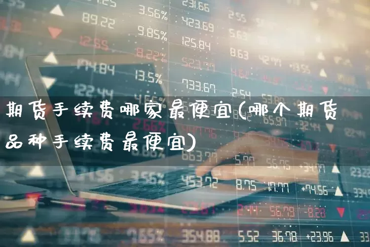 期货手续费哪家最便宜(哪个期货品种手续费最便宜)_https://www.wanyuyiyao.com_创业板_第1张