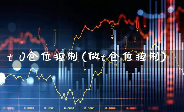 t 0仓位控制(做t仓位控制)_https://www.wanyuyiyao.com_北交所_第1张