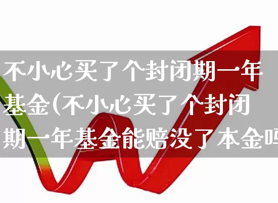 不小心买了个封闭期一年基金(不小心买了个封闭期一年基金能赔没了本金吗)_https://www.wanyuyiyao.com_上交所_第1张