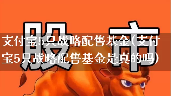支付宝5只战略配售基金(支付宝5只战略配售基金是真的吗)_https://www.wanyuyiyao.com_深交所_第1张
