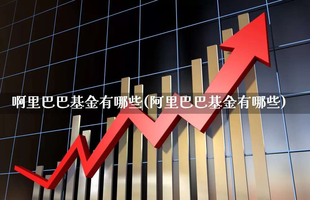 啊里巴巴基金有哪些(阿里巴巴基金有哪些)_https://www.wanyuyiyao.com_上交所_第1张