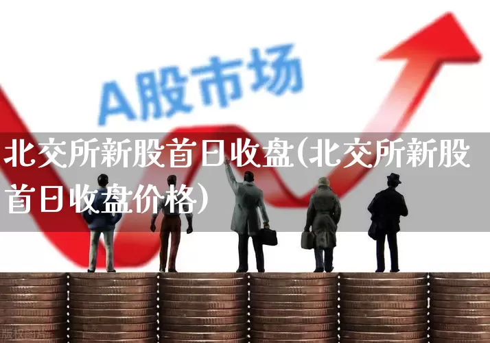 北交所新股首日收盘(北交所新股首日收盘价格)_https://www.wanyuyiyao.com_深交所_第1张