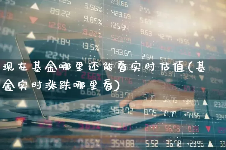 现在基金哪里还能看实时估值(基金实时涨跌哪里看)_https://www.wanyuyiyao.com_上交所_第1张