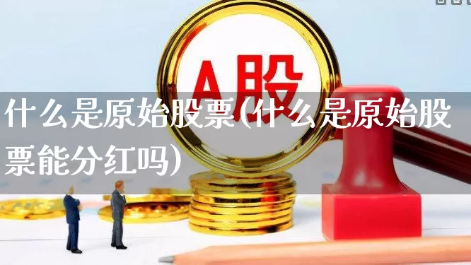什么是原始股票(什么是原始股票能分红吗)_https://www.wanyuyiyao.com_科创板_第1张