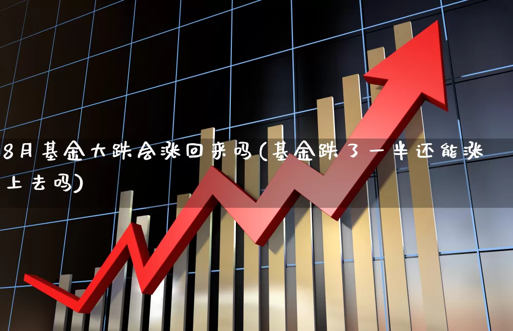 8月基金大跌会涨回来吗(基金跌了一半还能涨上去吗)_https://www.wanyuyiyao.com_创业板_第1张