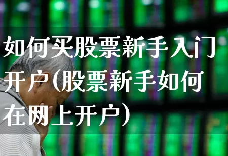 如何买股票新手入门开户(股票新手如何在网上开户)_https://www.wanyuyiyao.com_创业板_第1张