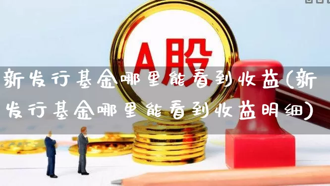 新发行基金哪里能看到收益(新发行基金哪里能看到收益明细)_https://www.wanyuyiyao.com_深交所_第1张