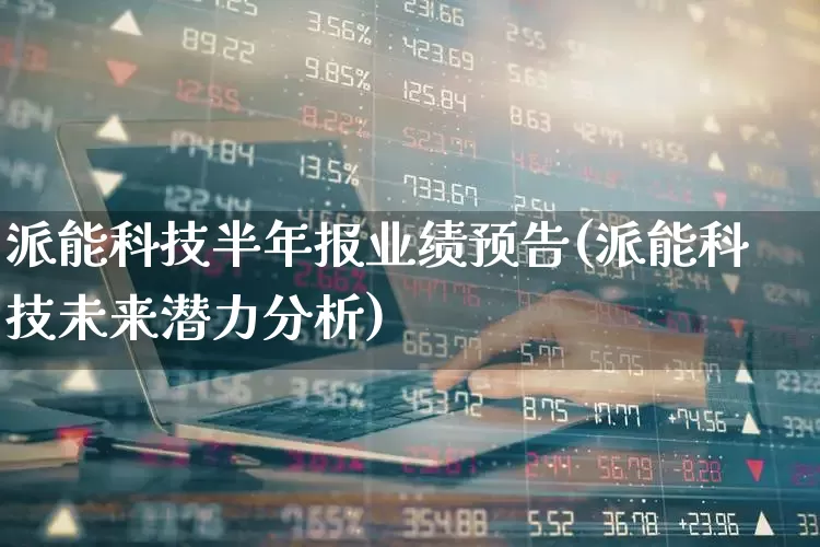 派能科技半年报业绩预告(派能科技未来潜力分析)_https://www.wanyuyiyao.com_上交所_第1张