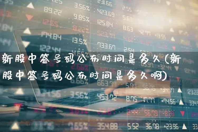 新股中签号码公布时间是多久(新股中签号码公布时间是多久啊)_https://www.wanyuyiyao.com_深交所_第1张