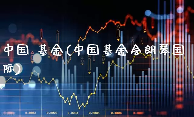 中国 基金(中国基金会朗琴国际)_https://www.wanyuyiyao.com_上交所_第1张