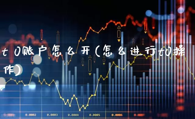t 0账户怎么开(怎么进行t0操作)_https://www.wanyuyiyao.com_上交所_第1张