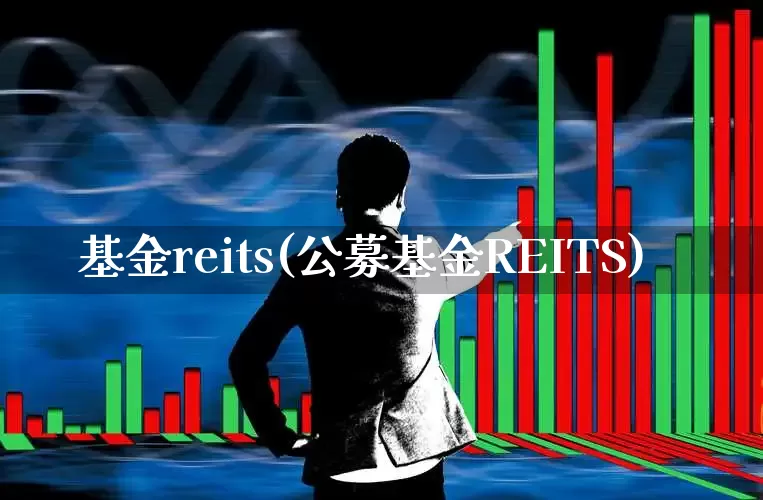 基金reits(公募基金REITS)_https://www.wanyuyiyao.com_北交所_第1张