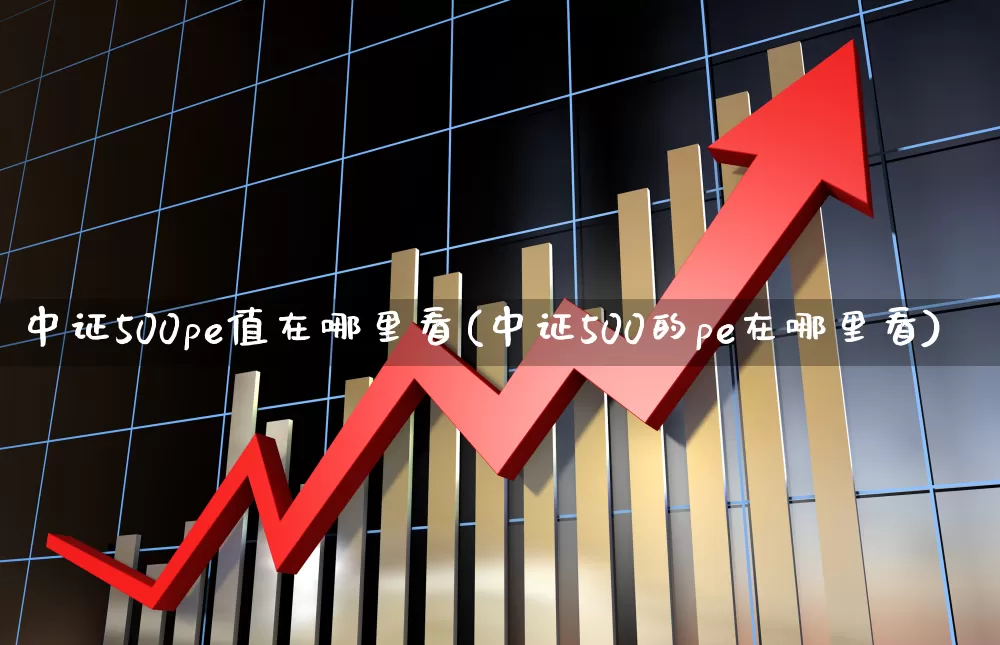 中证500pe值在哪里看(中证500的pe在哪里看)_https://www.wanyuyiyao.com_北交所_第1张